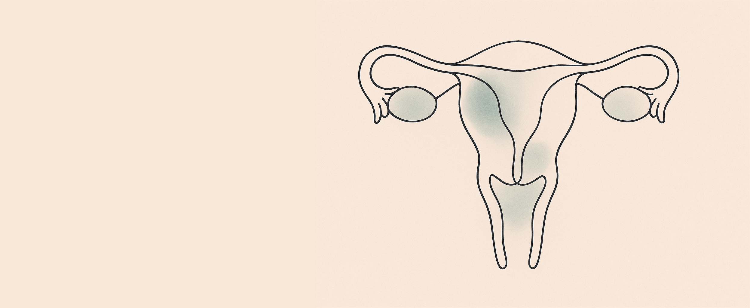 Uterus outline with shading