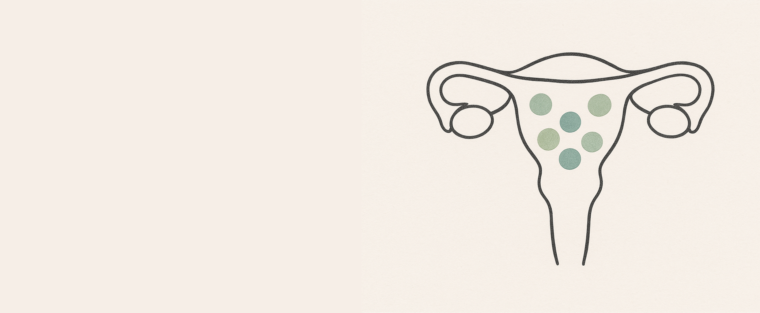 Uterus with dots in it