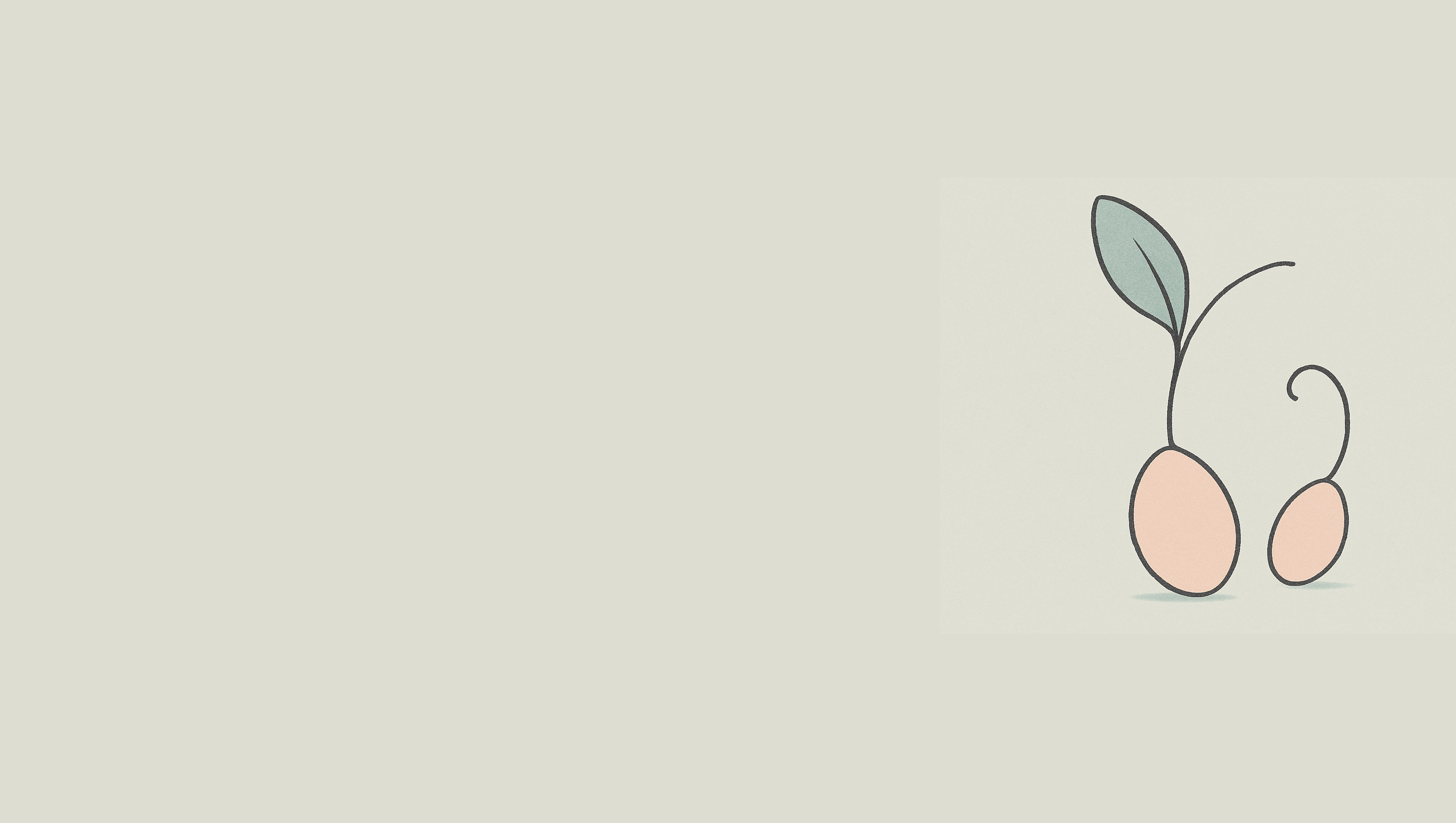 Two seedlings that are sprouting