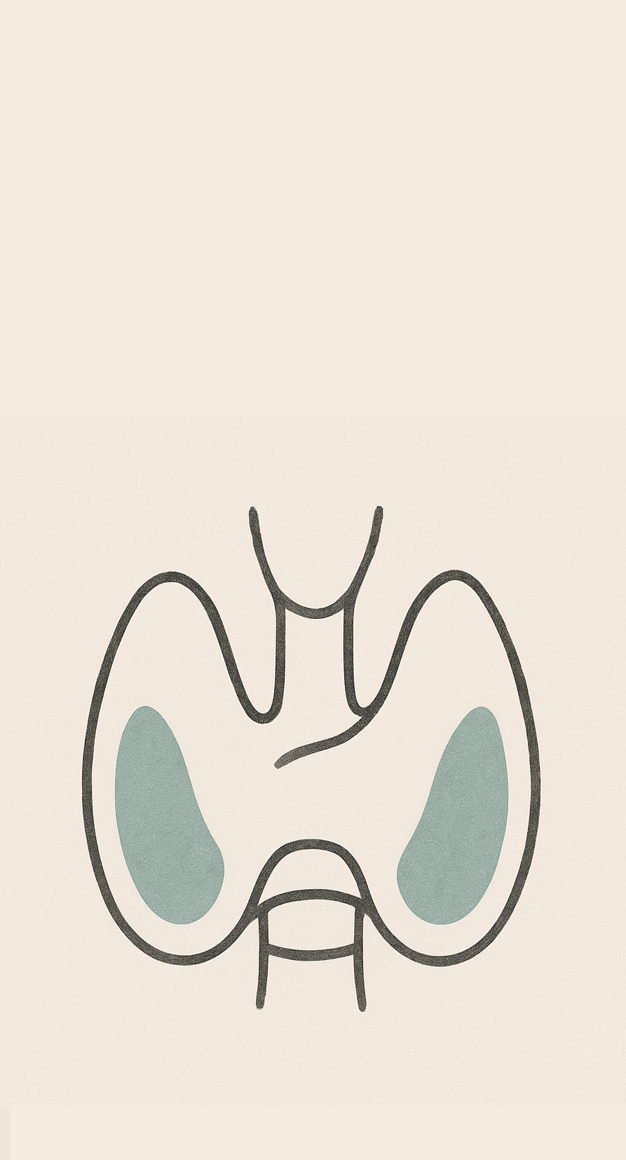 Thryroid gland outline with a blue blob in each side